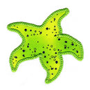 V-Stitch Designs Sea Life Medley set -Digital Download