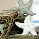 Crafters Edge Starfish Set of 2 Fabric Cutting Dies