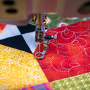 Bernina Foot 9 Darning Legacy Models