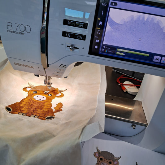 Bernina Mastery Embroidery Part 1 and 2