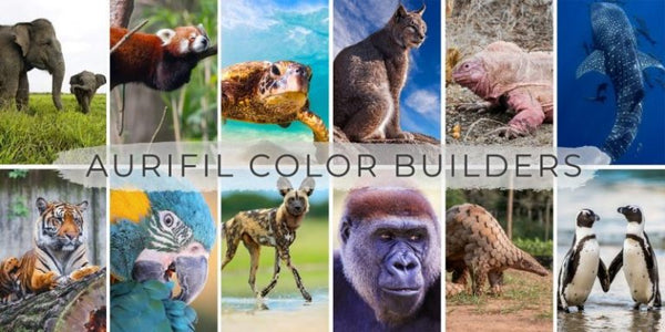 Aurifil Colour Builder 12 Month Kit