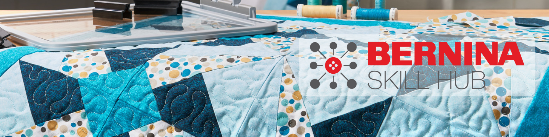 Bernina Skill Hub