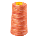 Aurifil Thread Forty3 3000m Variegated Tramonto a Zoagli 4657