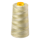 Aurifil Thread Forty3 3000m Variegated Spring Prairie 4653