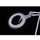 Daylight Company Omega 5 Magnifying Lamp