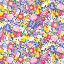 Moda Whimsy Wonderland