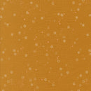 Moda Foraged, Found & Hand Me Down