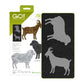 Accuquilt GO! Sheep & Goat Die (Die to Try, April 2026)