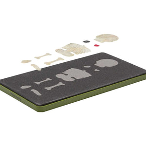 Accuquilt Go! Skeleton  (Die To Try September 2025)