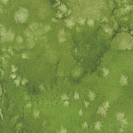 Wanderlust patterned cotton quilting fabric by Moda
