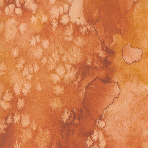 Wanderlust patterned cotton quilting fabric by Moda
