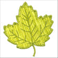 V-Stitch Designs Rustling Leaves 4 set -Digital Download