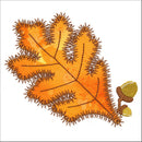V-Stitch Designs Rustling Leaves 2 set -Digital Download