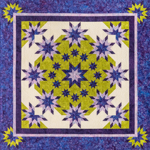 Studio 180 Moring Glory Pattern