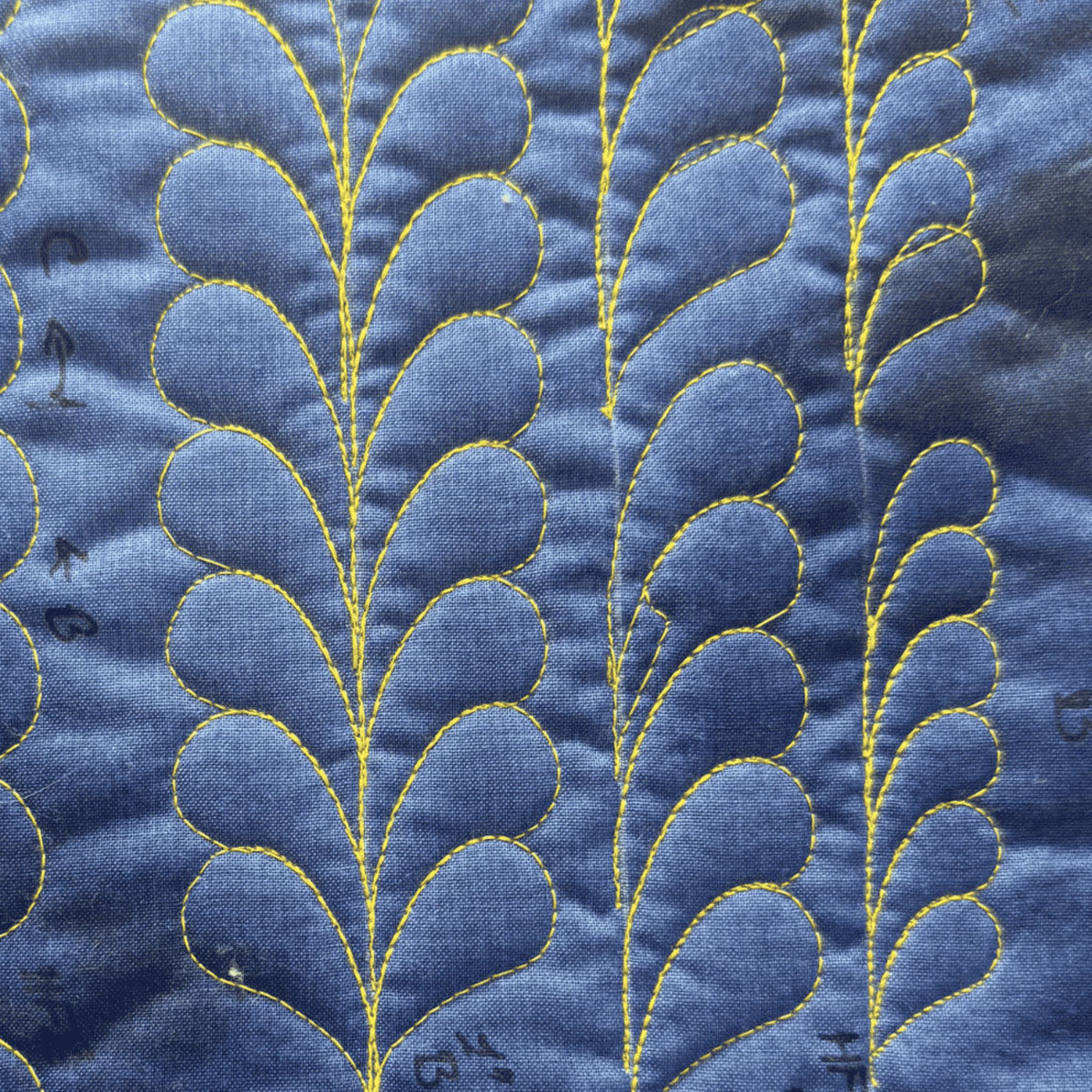 Feathers sample on blue fabric