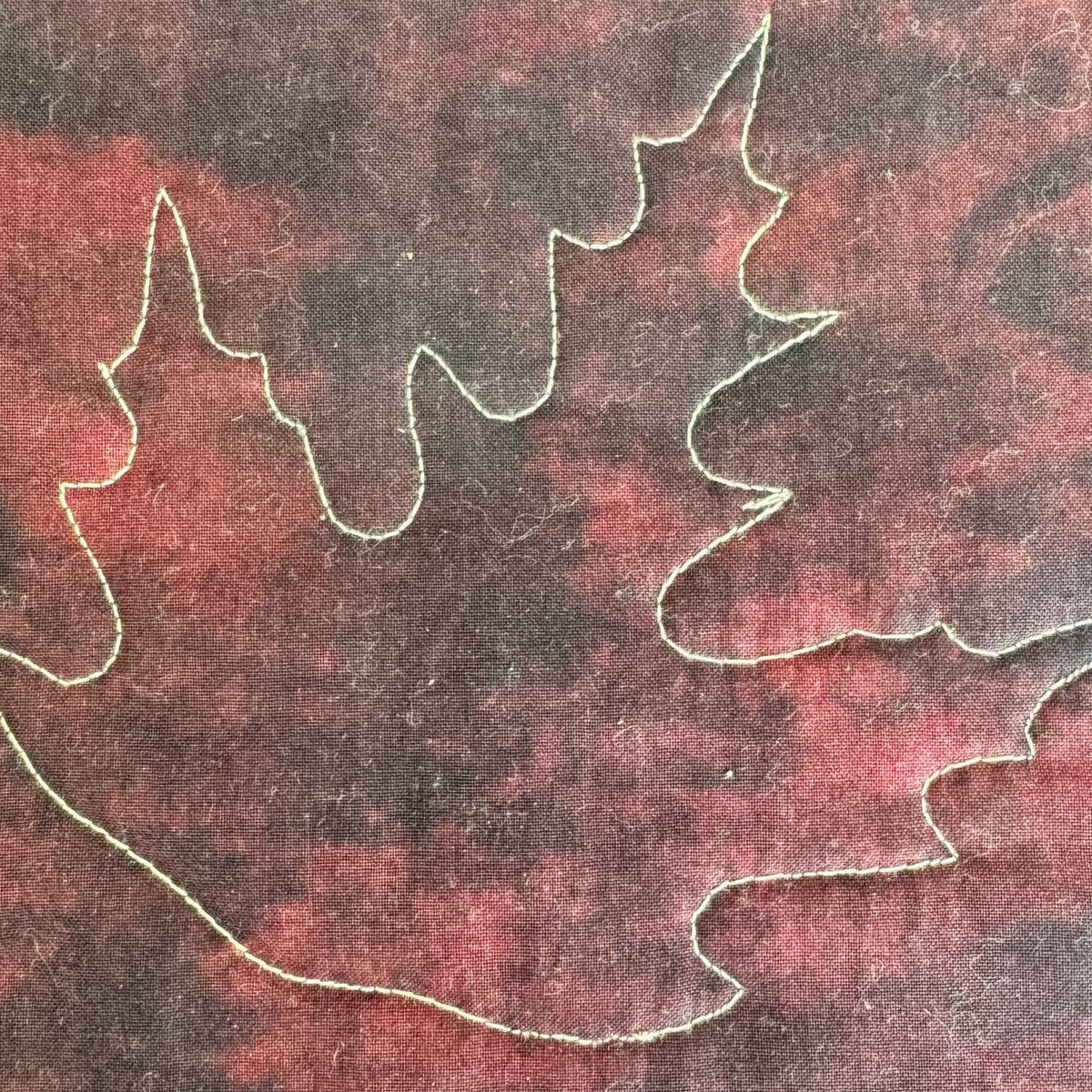 Leaf sample on black and red fabric