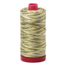 Aurifil Thread 12wt 325m Variegated Spring Prairie 4653