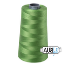 Aurifil Thread 28wt 3300m Grass Green 1114