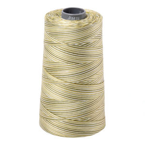 Aurifil Thread 28wt 3300m Variegated Spring Prairie 4653