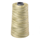 Aurifil Thread 28wt 3300m Variegated Spring Prairie 4653