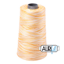 Aurifil Thread 28wt 3300m Variegated Limoni di Monterosso 4658