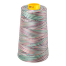 Aurifil Thread Forty3 3000m Variegated Marrakesh  3817