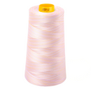 Aurifil Thread Forty3 3000m Variegated Bari 4651