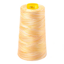 Aurifil Thread Forty3 3000m Variegated Limoni di Monterosso 4658