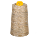 Aurifil Thread Forty3 3000m Variegated Nutty 4667