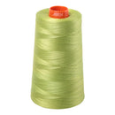 Aurifil Thread 50wt 5900m Spring Green 1231