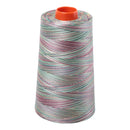 Aurifil Thread 50wt 5900m Variegated Marrakesh  3817