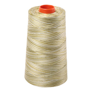 Aurifil Thread 50wt 5900m Variegated Spring Prairie 4653