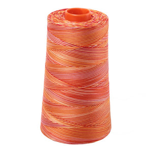 Aurifil Thread 50wt 5900m Variegated Tramonto a Zoagli 4657