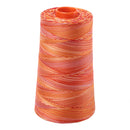 Aurifil Thread 50wt 5900m Variegated Tramonto a Zoagli 4657