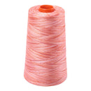 Aurifil Thread 50wt 5900m Varigated Mango Mist 4659