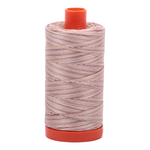 Aurifil embroidery thread spool in Varigated Biscotti (4666) - 50wt 1300m
