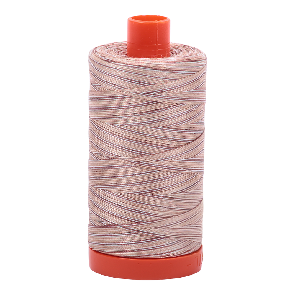 Aurifil embroidery thread spool in Varigated Biscotti (4666) - 50wt 1300m