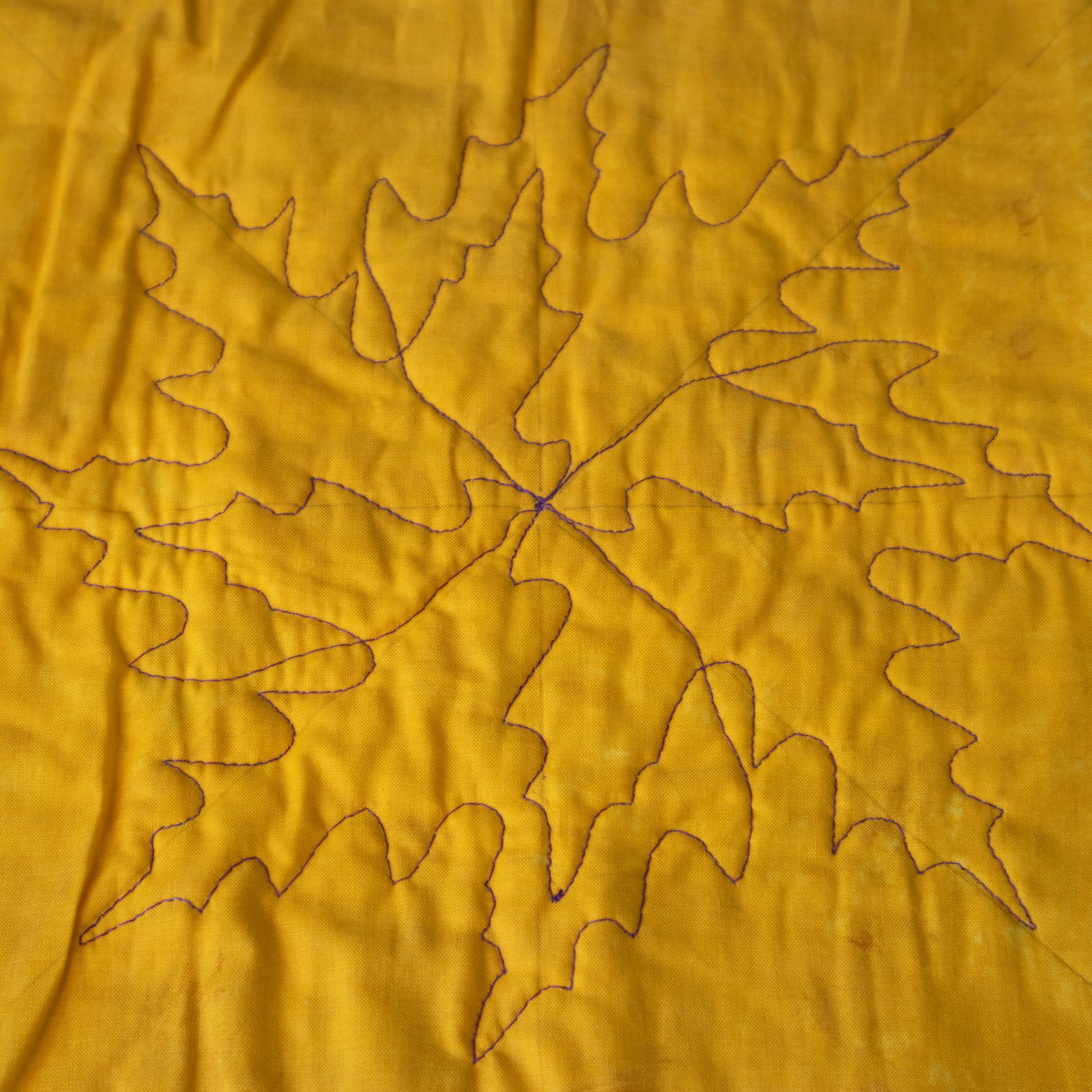Quilter's Rule ¼" Leaf 1 - quilting ruler and template - alternate angle