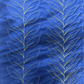 Quilter's Rule ¼" Frond Feathers 2 Ash & Spike