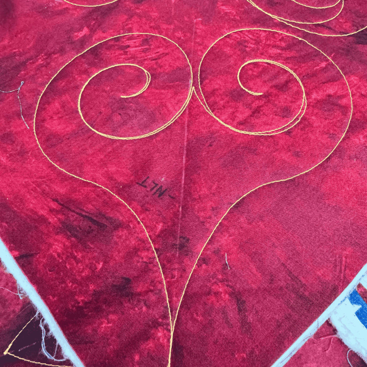 Nautilus sample on red fabric with gold thread
