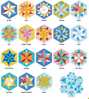 Accuquilt GO! Pinwheel Shape Set-12" Finished by Sew Steady