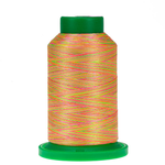 Amann Isacord embroidery thread spool in Neon Nights (9914) - 40wt 1000m