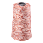 Aurifil embroidery thread spool in Varigated Cinnamon Sugar (4656) - 28wt 3300m