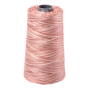 Aurifil embroidery thread spool in Varigated Cinnamon Sugar (4656) - 28wt 3300m