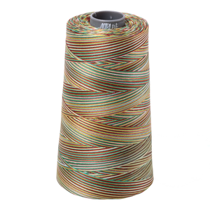 Aurifil embroidery thread spool in Varigated Leaves (4650) - 28wt 3300m