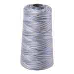 Aurifil embroidery thread spool in Varigated Lemon Blueberry (4649) - 28wt 3300m