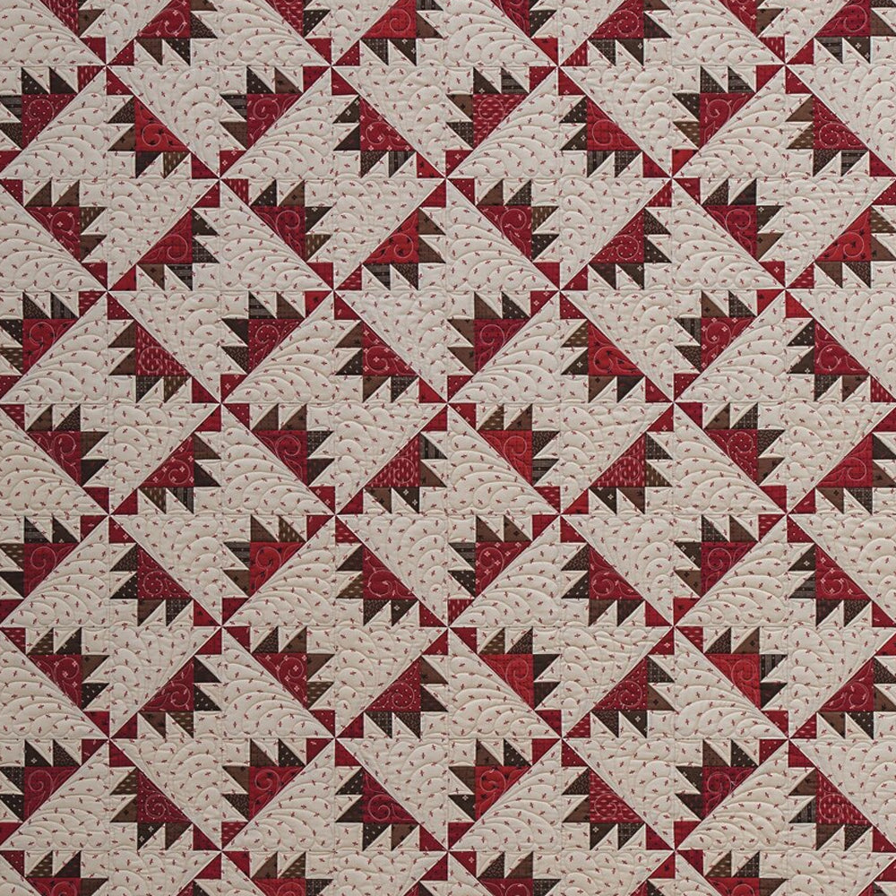 Easy Precision Piecing By Sarah Scott - C&T Publishing