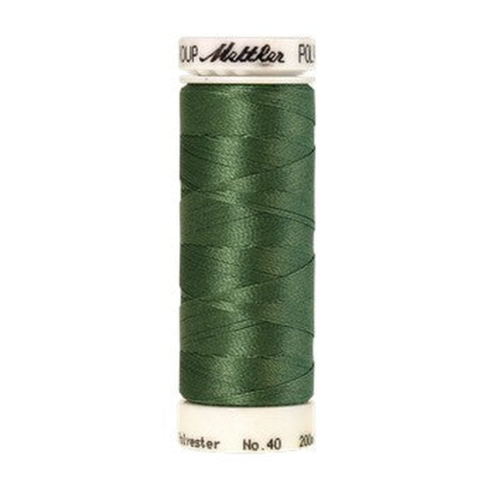 Mettler embroidery thread spool in Asparagus (5743) - 40wt 200m