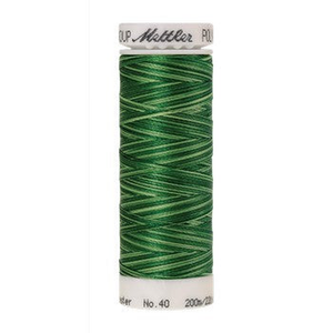 Mettler embroidery thread spool in Spring Grasses (9932) - 40wt 200m