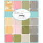 Renew patterned cotton quilting fabric by Moda